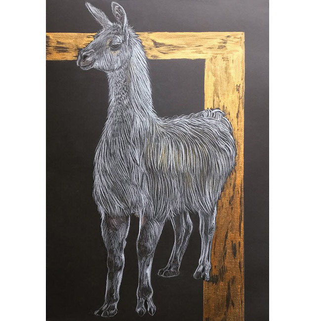 Illustration eines Lamas auf schwarzem Papier