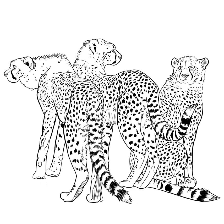 Illustration von Janine Kruse