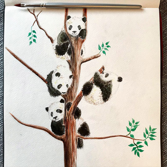 Aquarell-Skizze Pandababies