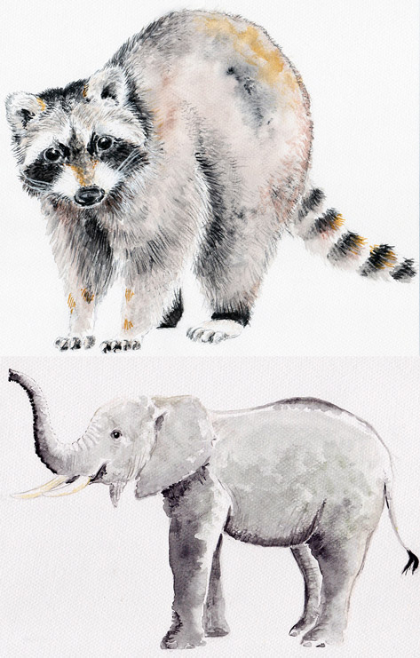 Aquarell-Zeichnungen Waschbär und kleiner Elefant